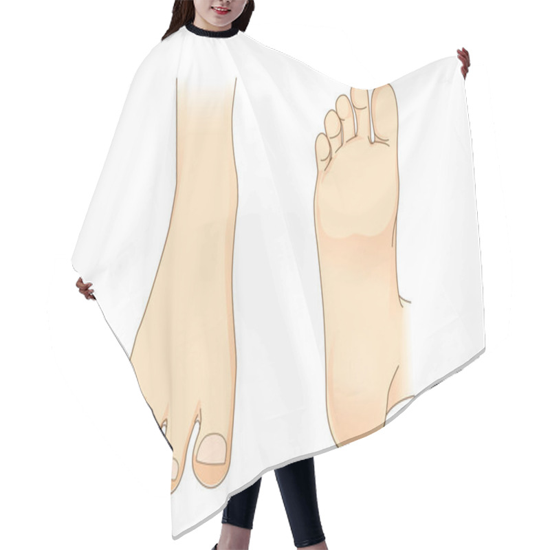 Personality  Foot Vector In Side View And Bottom Of Foot  Hair Cutting Cape