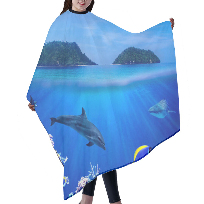 Personality  Background Of Islands And Underwater Coral Reef  With Tropical Marine Fish, Dolphin And Whale Shark Hair Cutting Cape