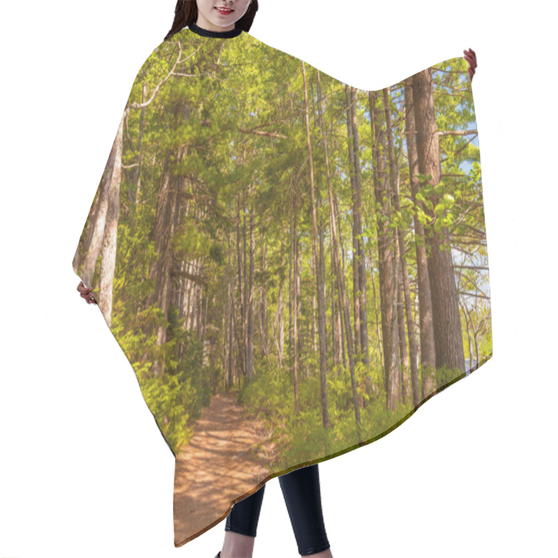 Personality  Forest Trail Hair Cutting Cape