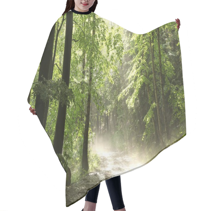 Personality  Spring Forest Hair Cutting Cape