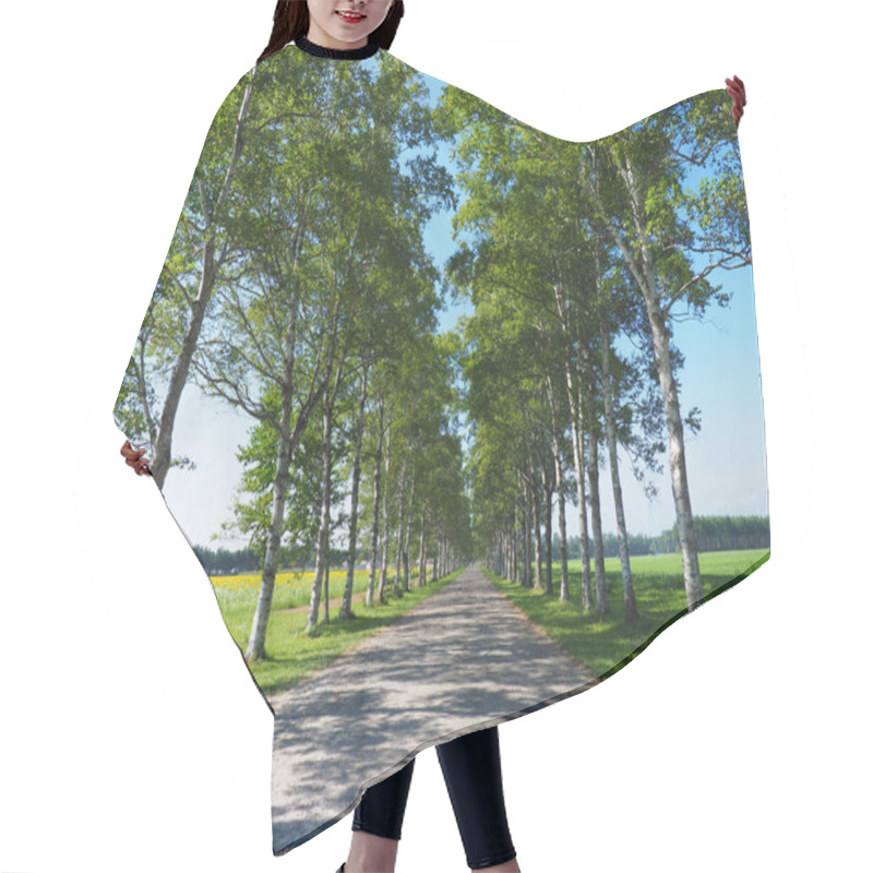 Personality  Tree Lined Street In Hokkaido Hair Cutting Cape