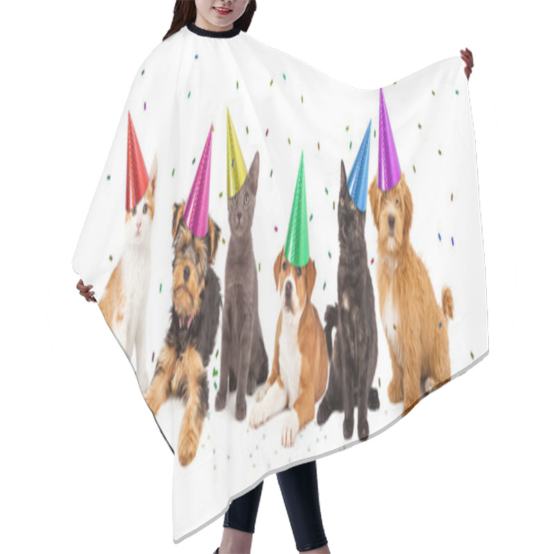 Personality  Puppies And Kittens With Confetti Hair Cutting Cape