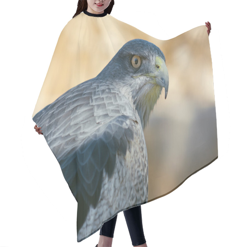 Personality  Black-chested Buzzard-Eagle Hair Cutting Cape