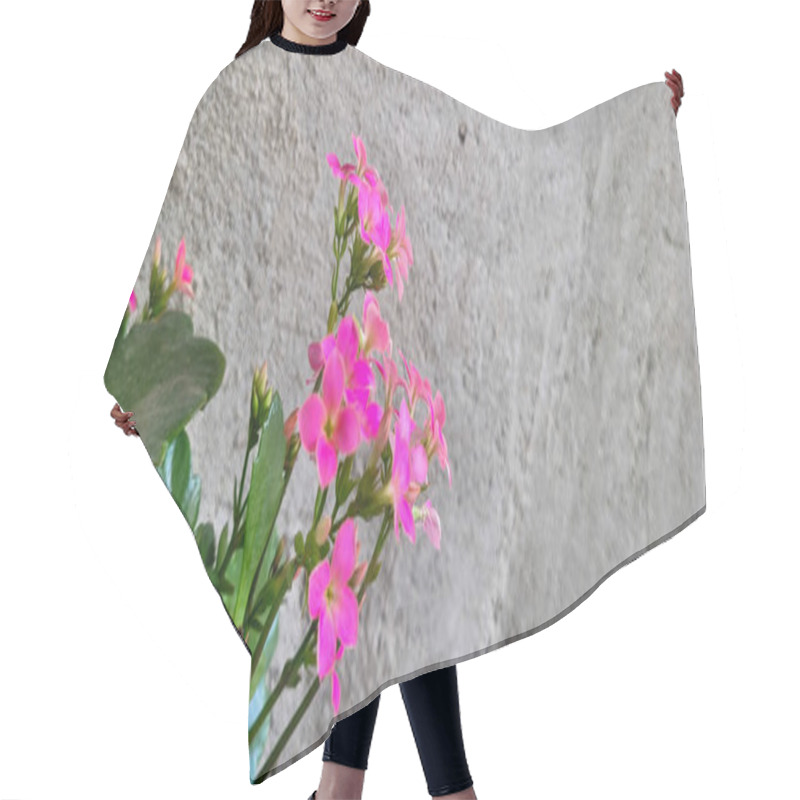 Personality  Pink Flowers With Rustic Wall Background Hair Cutting Cape