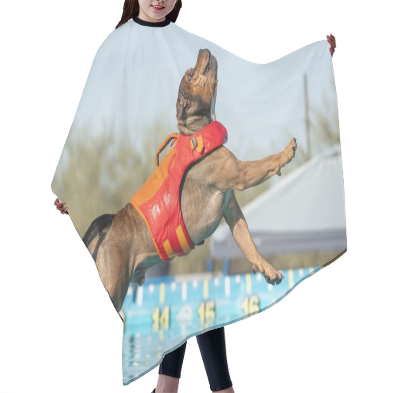 Personality  Red Stafforshire Terrier About To Land In A Swimming Pool While Wearing A Floatation Vest Hair Cutting Cape