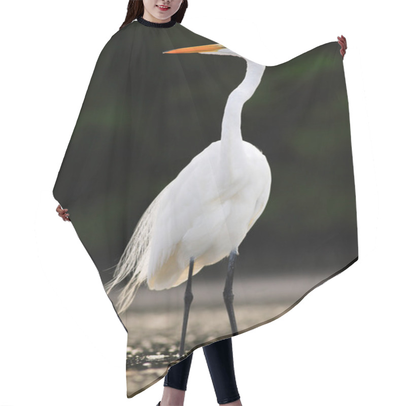 Personality  White Heron With Orange Bill  Hair Cutting Cape