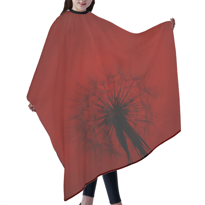 Personality  Dandelion Silhouette On Red Textured Background Hair Cutting Cape