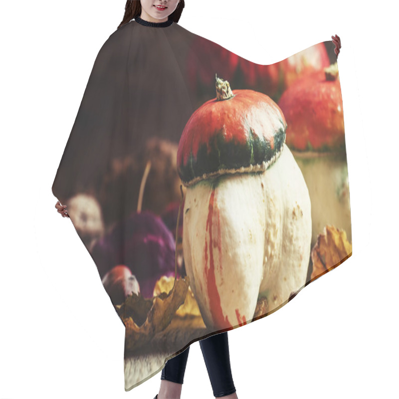 Personality  Autumn Concept. Decorative Pumpkins Mushrooms Hair Cutting Cape