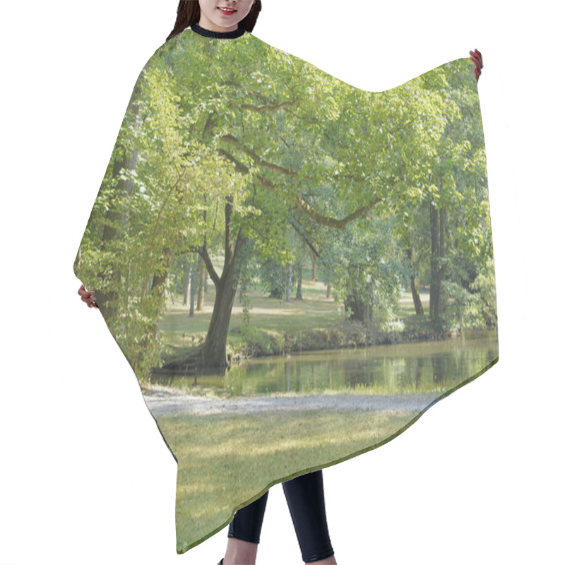 Personality  Idyllic Park Scenery Hair Cutting Cape