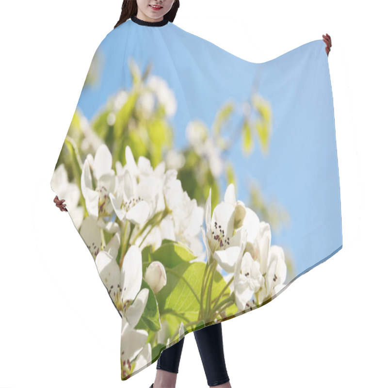 Personality  Tree Branch With Blooming Flowers Hair Cutting Cape