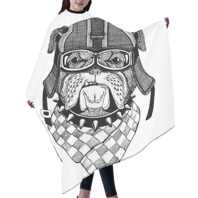 Personality  Bulldog, Dog. Animal Wearing Motorycle Helmet. Image For Kindergarten Children Clothing, Kids. T-shirt, Tattoo, Emblem, Badge, Logo, Patch Hair Cutting Cape