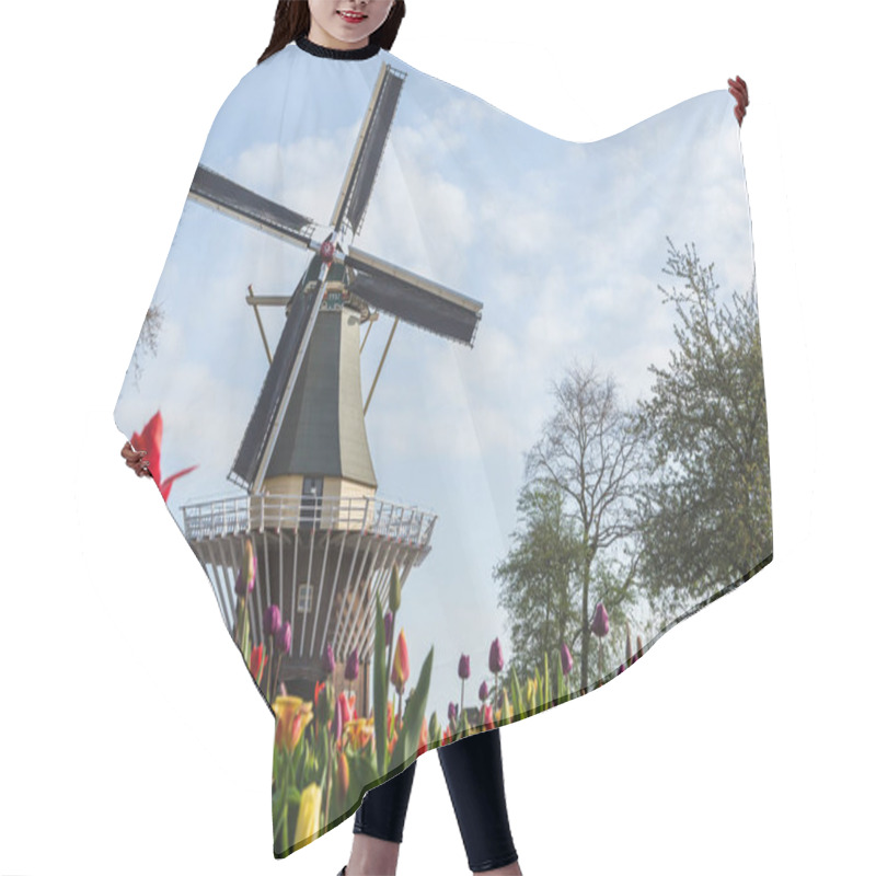 Personality  Windmill And Tulips At Keukenhof Gardens. Lisse, South Holland Province, Netherlands Hair Cutting Cape