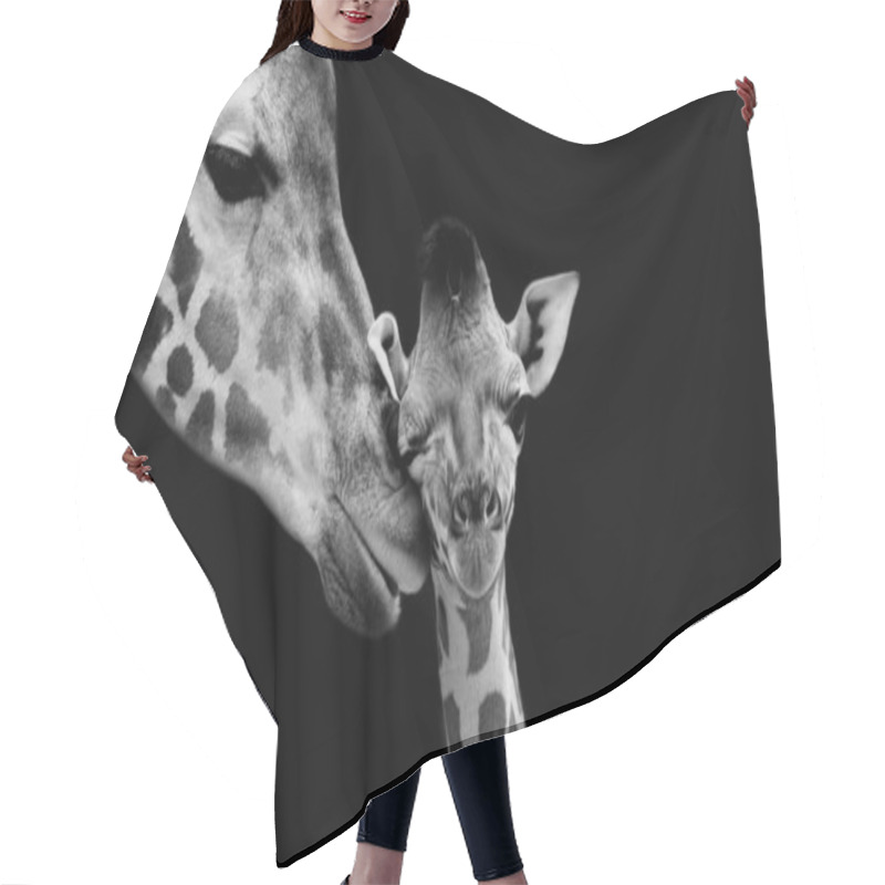 Personality  Mom And Baby Giraffe Face Black Background Hair Cutting Cape