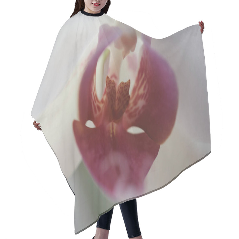 Personality  Flower Clitoris Vagina Vulva Concept. Orgasm. Spring Bloom. Erotic Orchid Blossom Closeup Hair Cutting Cape