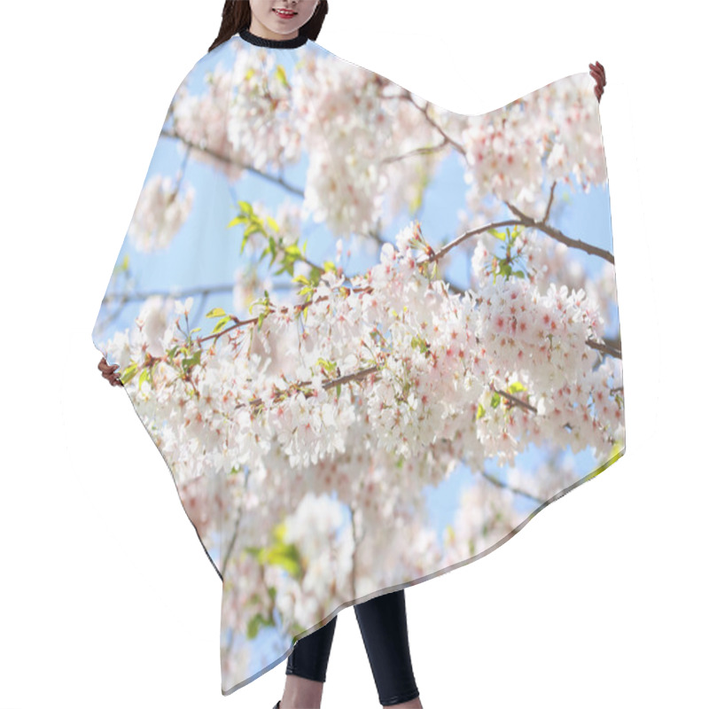 Personality  White Spring Blossoms Of Cherry. Flowers Outdoor Hair Cutting Cape