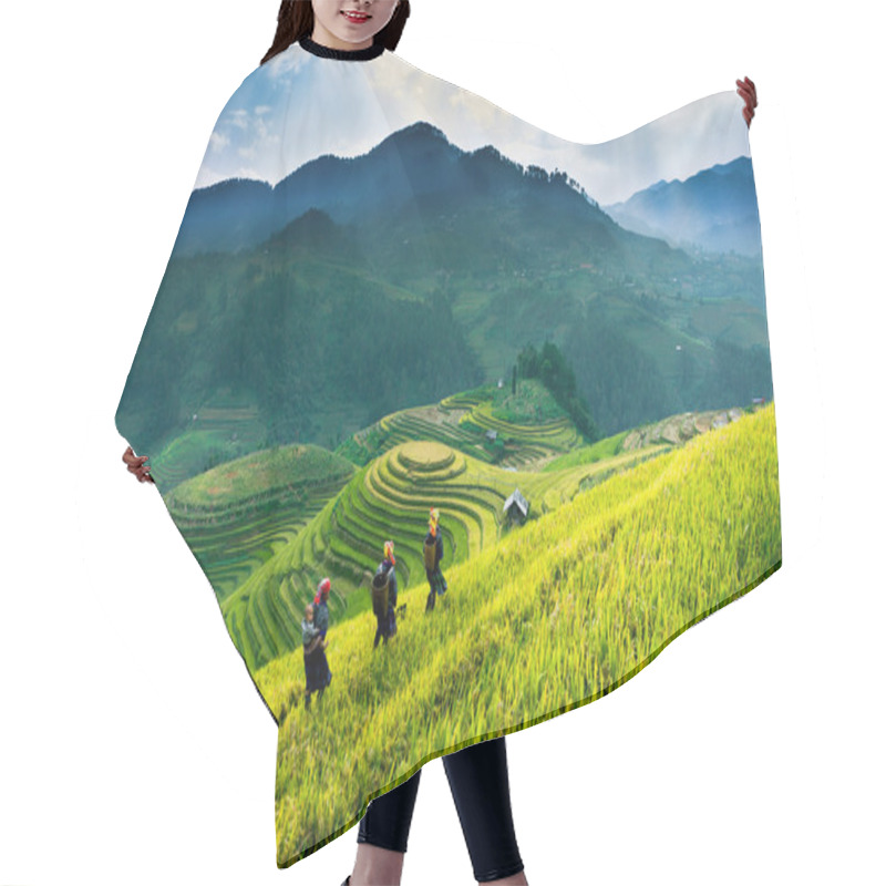 Personality  Rice Fields On Terraces In The Sun At MuCangChai, Vietnam.  Hair Cutting Cape