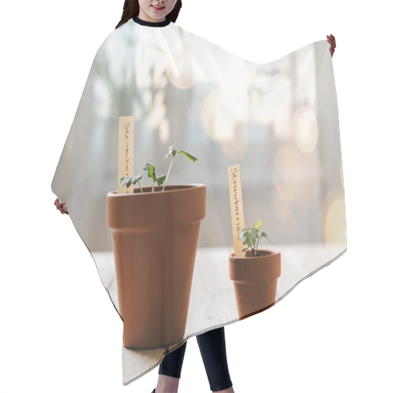 Personality  Seeding And Potted Plant Hair Cutting Cape