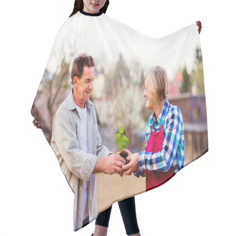 Personality  Senior Couple Holding Seedling In Garden Hair Cutting Cape