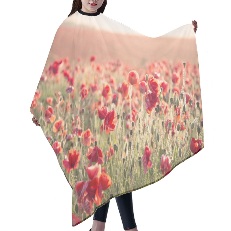 Personality  Stunning Poppy Field Landscape Under Summer Sunset Sky With Cros Hair Cutting Cape