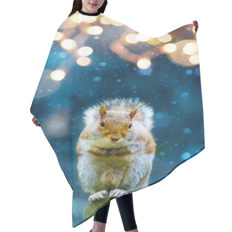 Personality  Christmas Banner Background; Cute Squirrel In Winter Garden Hair Cutting Cape