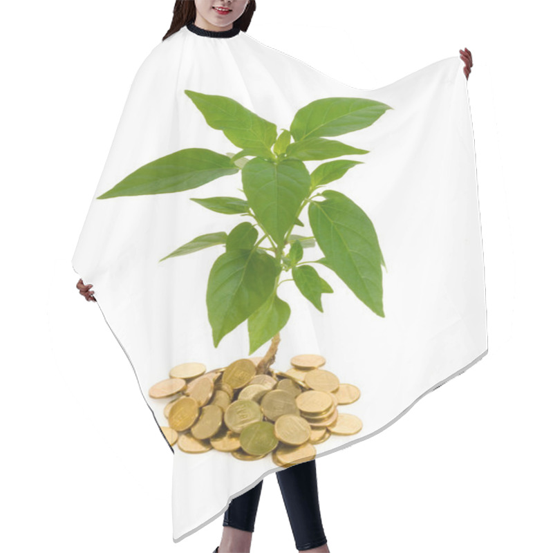 Personality  Conceptual Profit Hair Cutting Cape