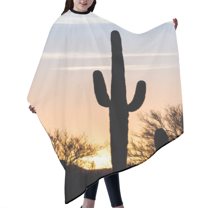 Personality  Saguaro Cactus Sunset Hair Cutting Cape