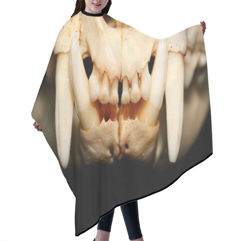 Personality  Cat Skull Hair Cutting Cape