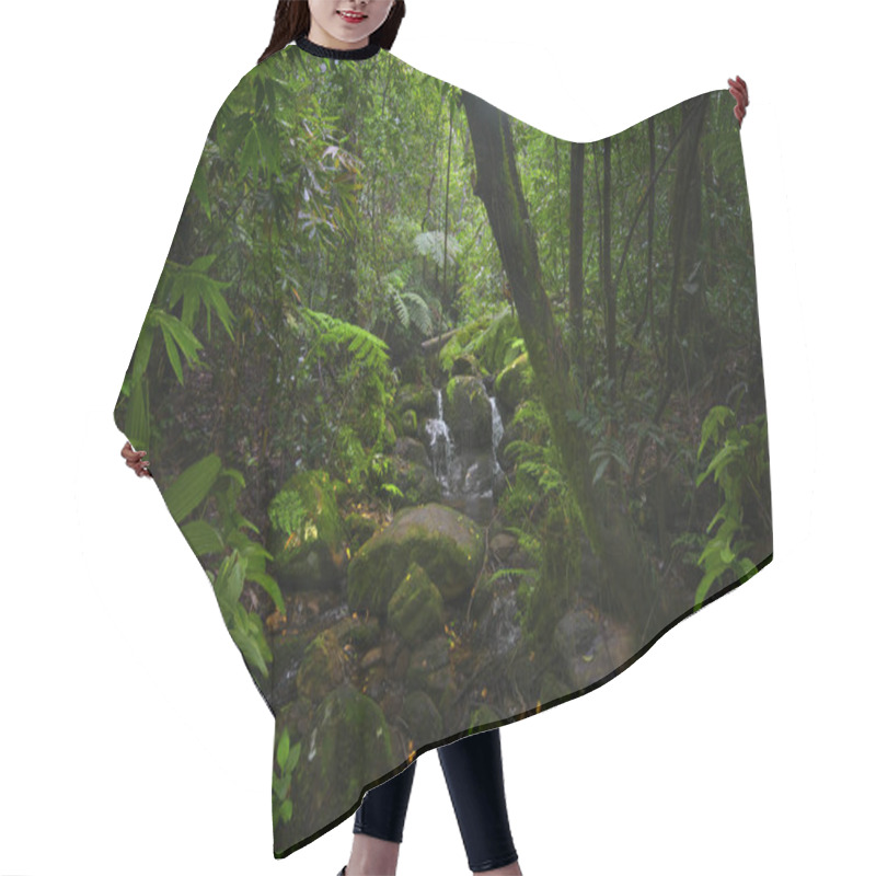 Personality  Tropical Rain Forest In Asia Hair Cutting Cape