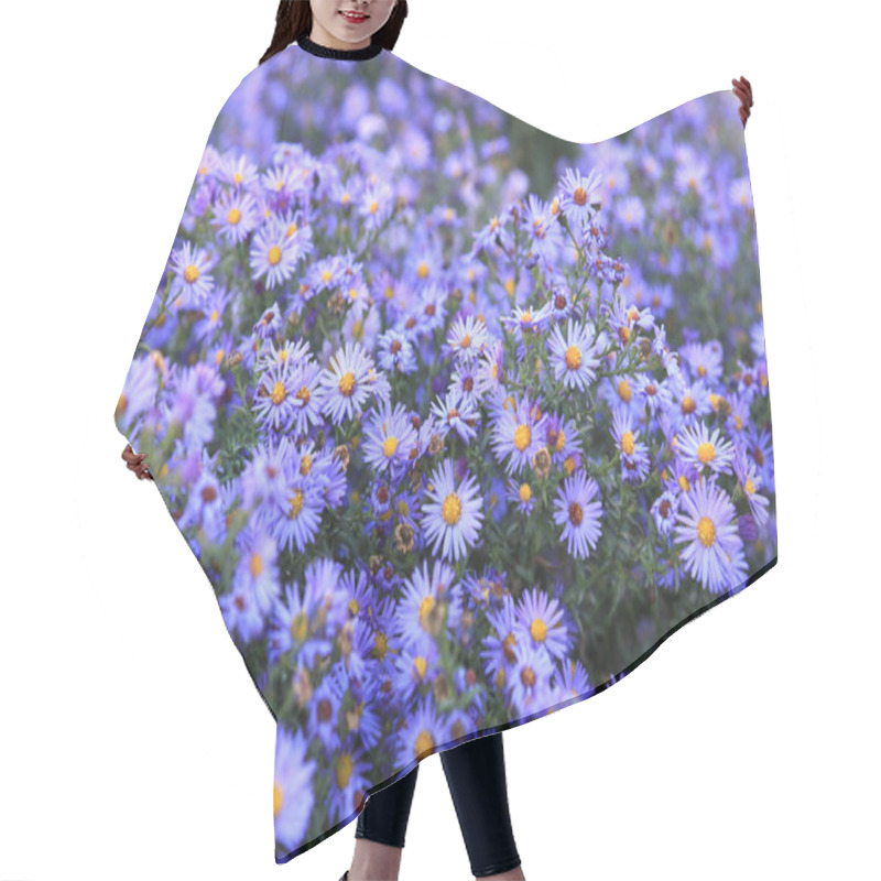 Personality  Small Purple Asters Wildflowers Background Hair Cutting Cape