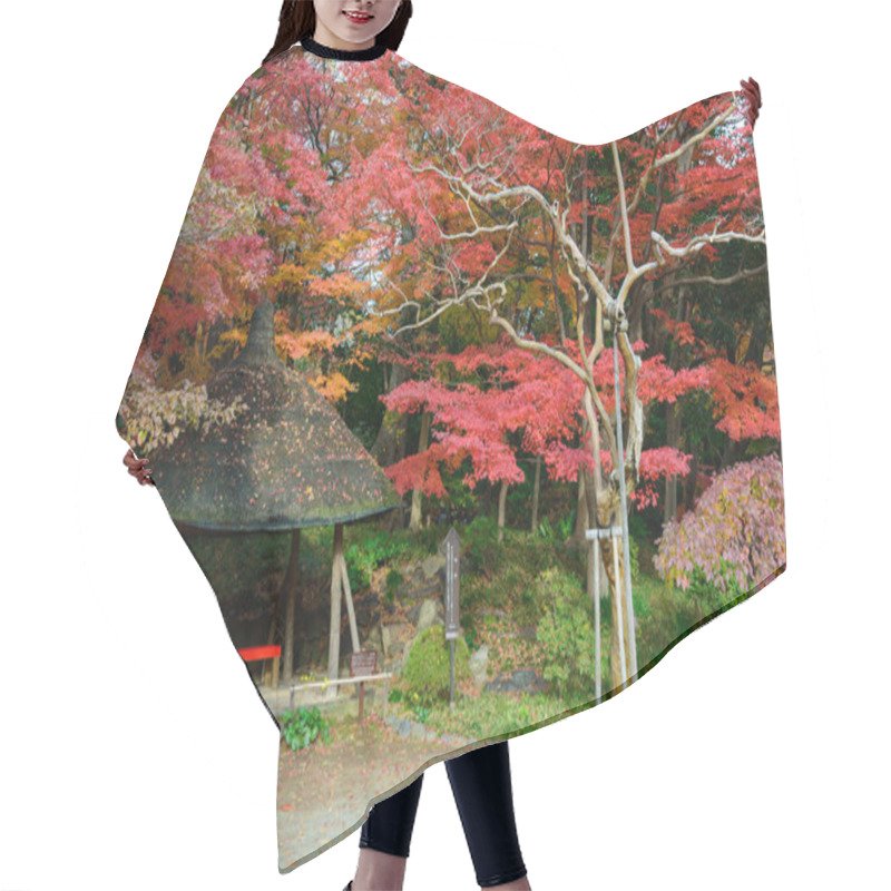 Personality  Koishikawa Korakuen Garden In Autumn In Tokyo Hair Cutting Cape