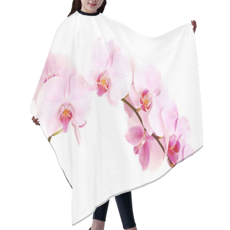 Personality  Stem Of Orchids. Hair Cutting Cape