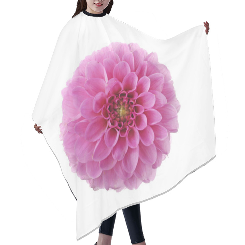 Personality  Beautiful Pink Dahlia Flower Isolated On White Hair Cutting Cape