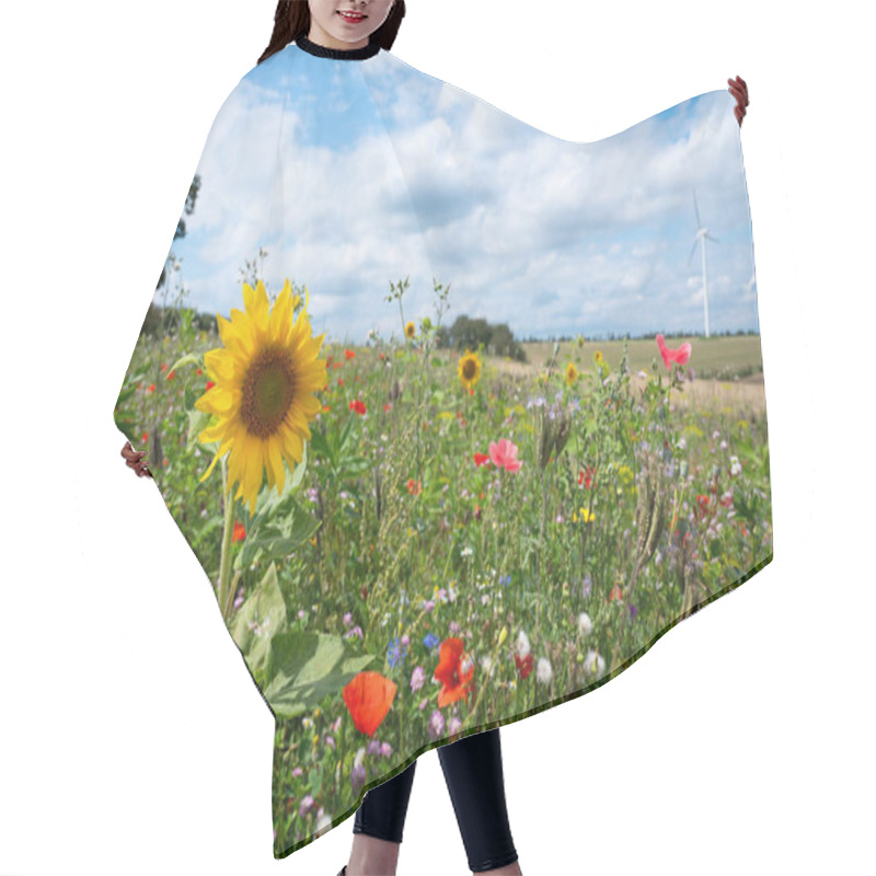 Personality  Meadow With Sunflower And Poppy Flowers, Blooming Wildflower Field, Nature In Summer, Environment And Ecology Concept Hair Cutting Cape