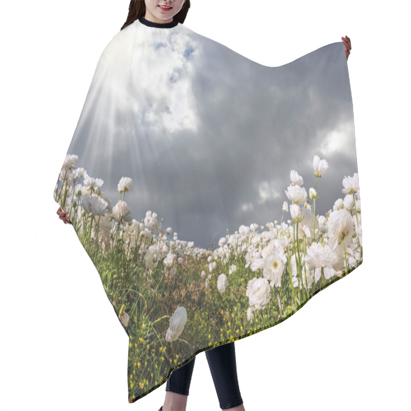 Personality   Blooming  Buttercups  Hair Cutting Cape