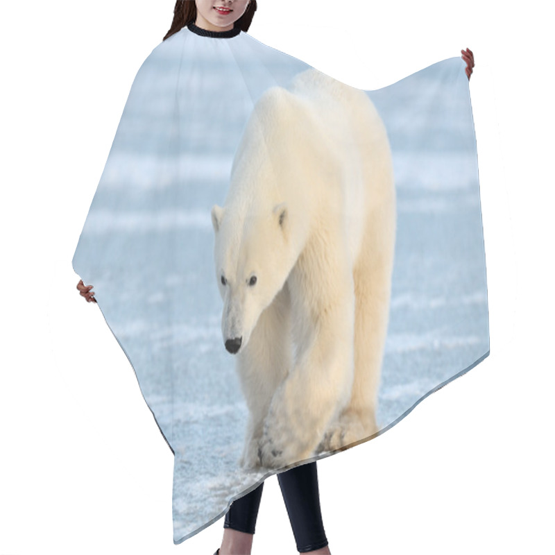 Personality  Polar Bear Hair Cutting Cape