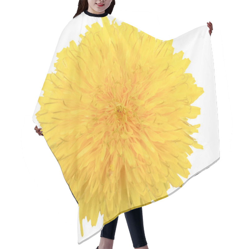 Personality  One Yellow Flower Of Dandelion Isolated On White Background Hair Cutting Cape