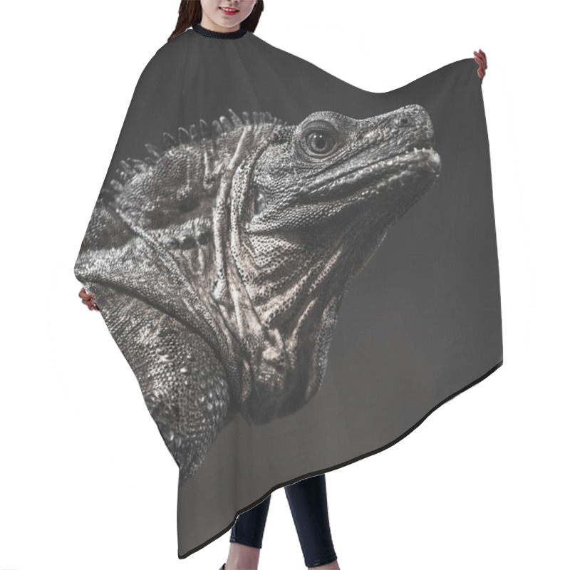 Personality  Lizard Hair Cutting Cape