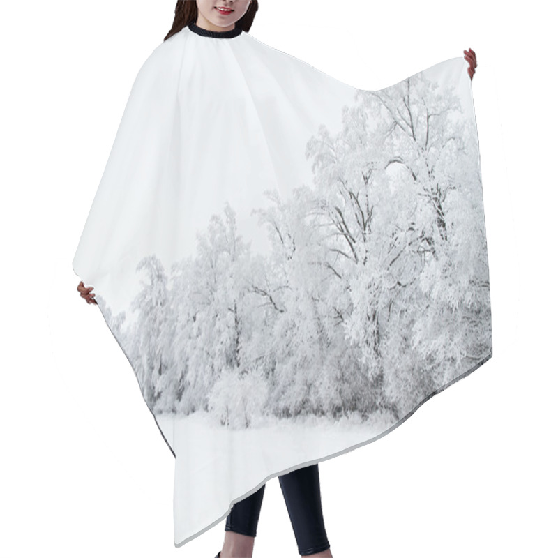 Personality  Winter Landscape With Snow And Trees Hair Cutting Cape