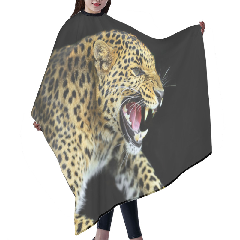 Personality  Wild Leopard Hair Cutting Cape