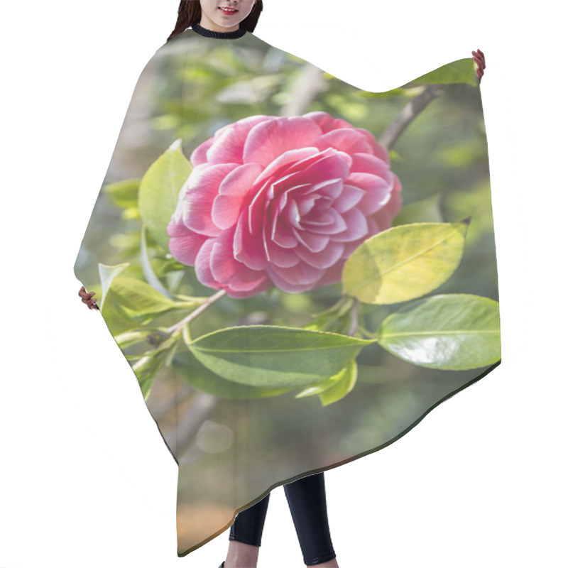 Personality  Pink Camellia Blossom Hair Cutting Cape