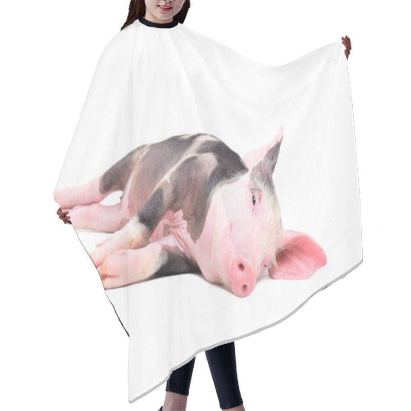 Personality  Cute Little Pig Lying On Its Side Isolated On White Background Hair Cutting Cape