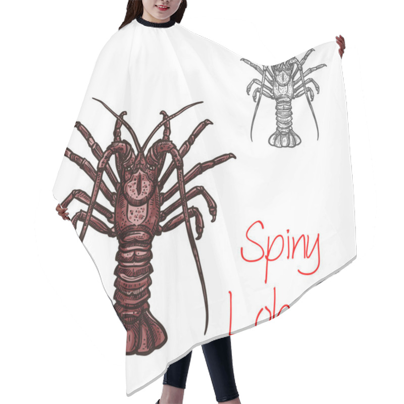 Personality  Spiny Lobster Vector Ocean Seafood Icon Hair Cutting Cape