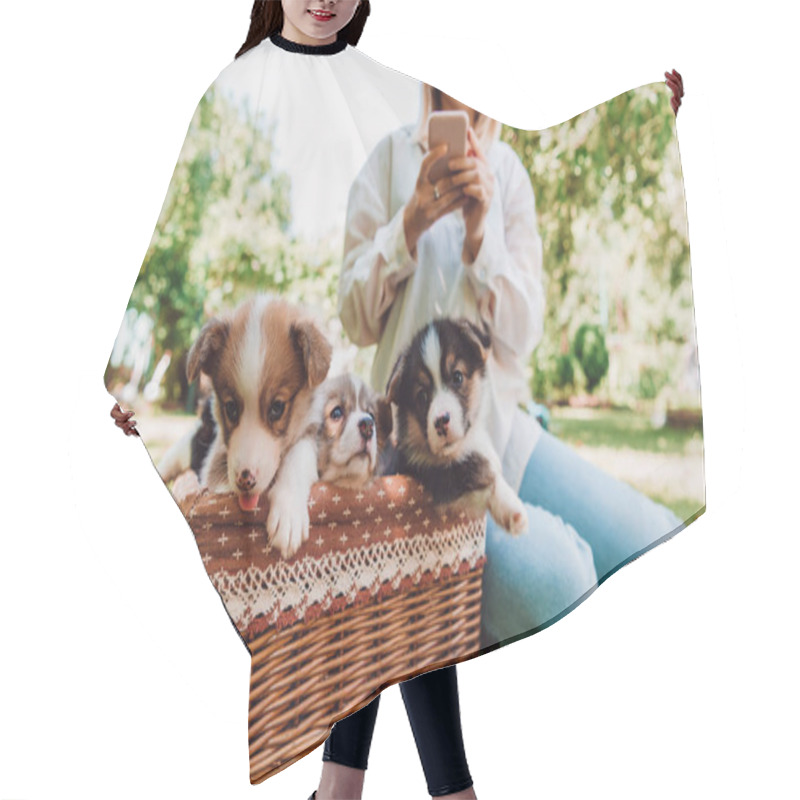 Personality  Cropped View Of Blonde Girl Sitting In Green Garden And Using Smartphone Near Wicker Box With Adorable Puppies Hair Cutting Cape