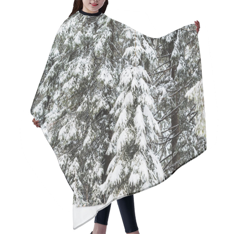 Personality  Pine Trees Covered With Snow In Winter Forest Hair Cutting Cape