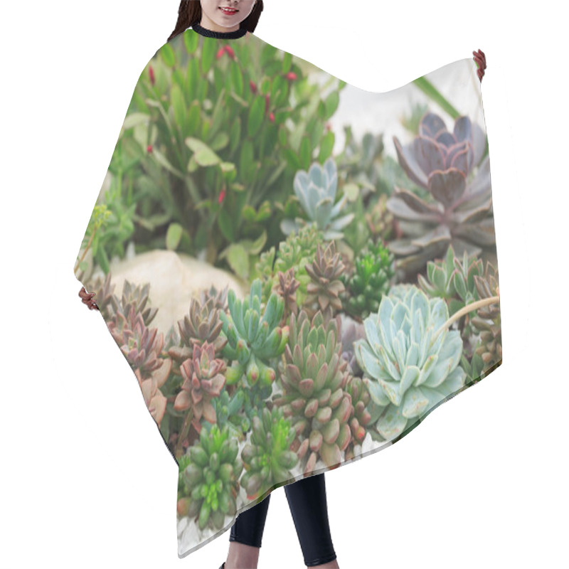 Personality  All Kinds Of Potted Succulents Hair Cutting Cape