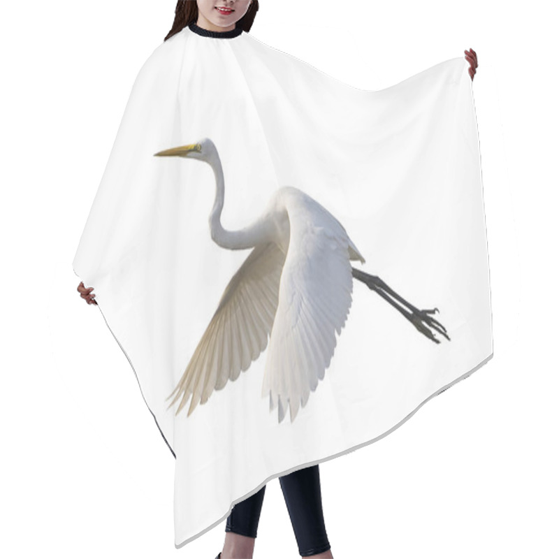 Personality  Great Egret Isolated On White Background Hair Cutting Cape