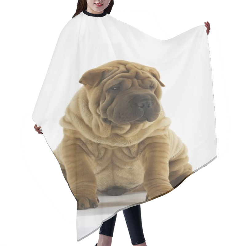 Personality  Shar-Pei Hair Cutting Cape