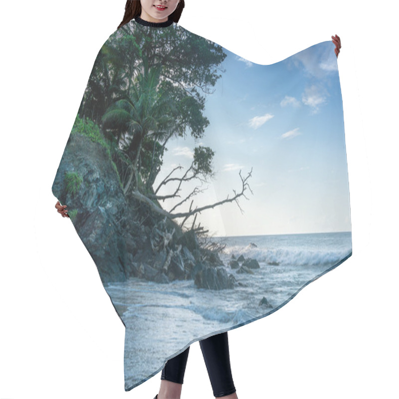 Personality  Trees On Cliff At Seashore Hair Cutting Cape