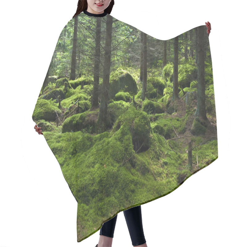 Personality  The Primeval Forest With Mossed Ground Hair Cutting Cape