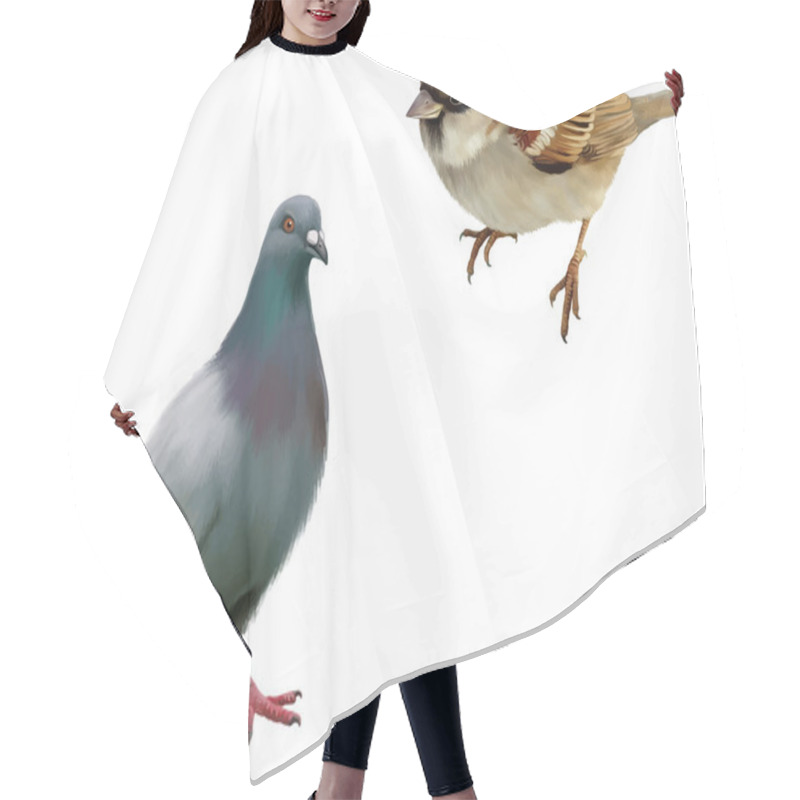 Personality  House Sparrow And Pigeon Hair Cutting Cape